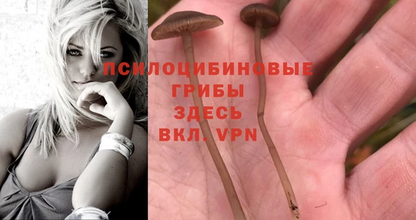 амфетамин Елабуга