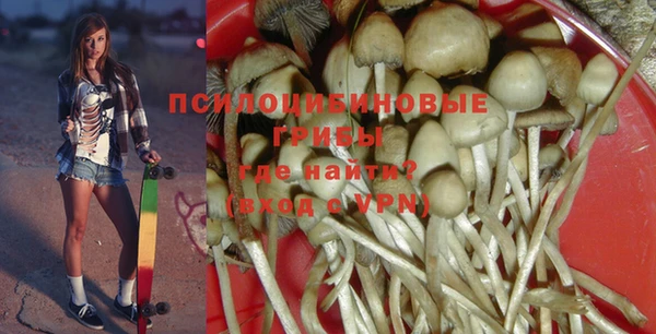 амф Елизово