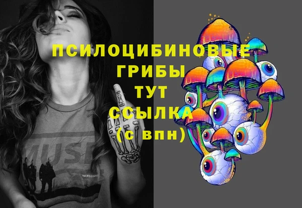 амф Елизово