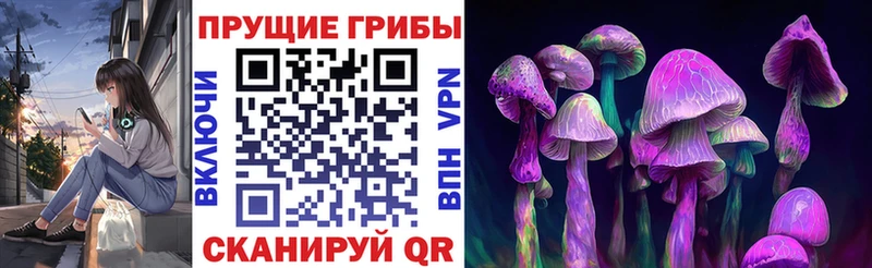 Псилоцибиновые грибы Magic Shrooms  Купить  Константиновск 