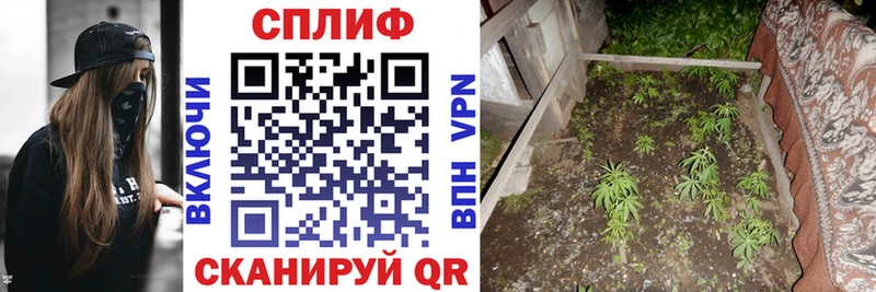 Купить  Константиновск  Каннабис MAZAR 